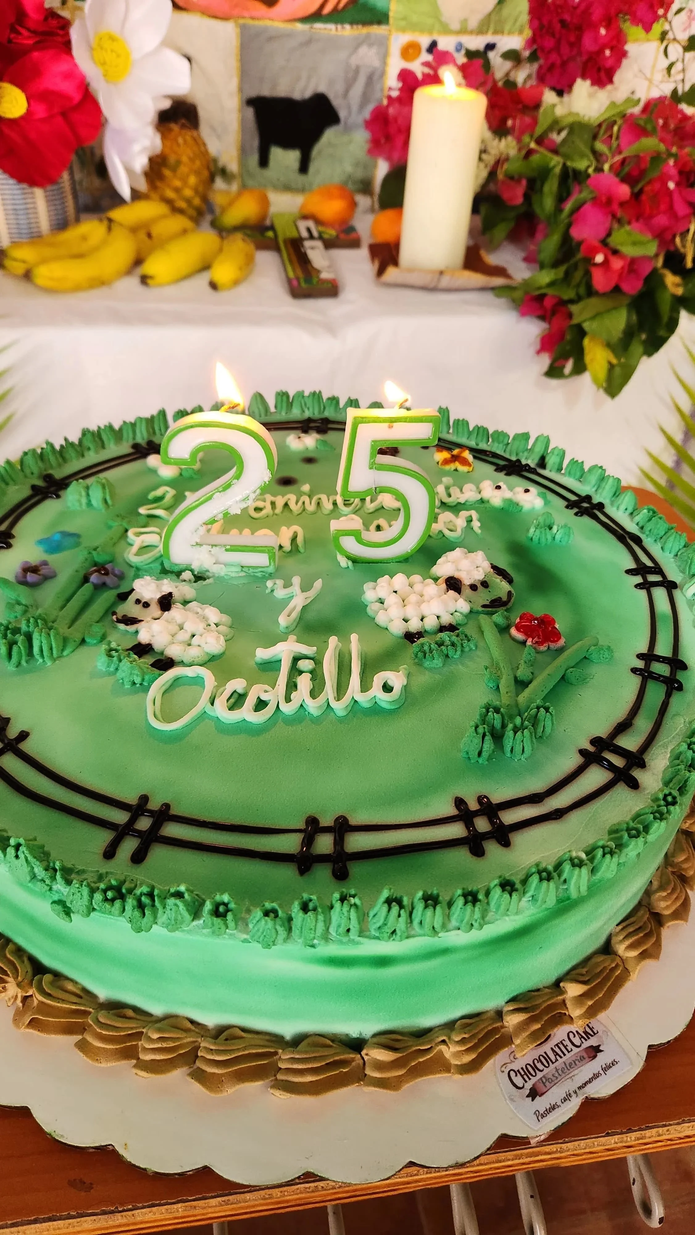 Voices from El Ocotillo