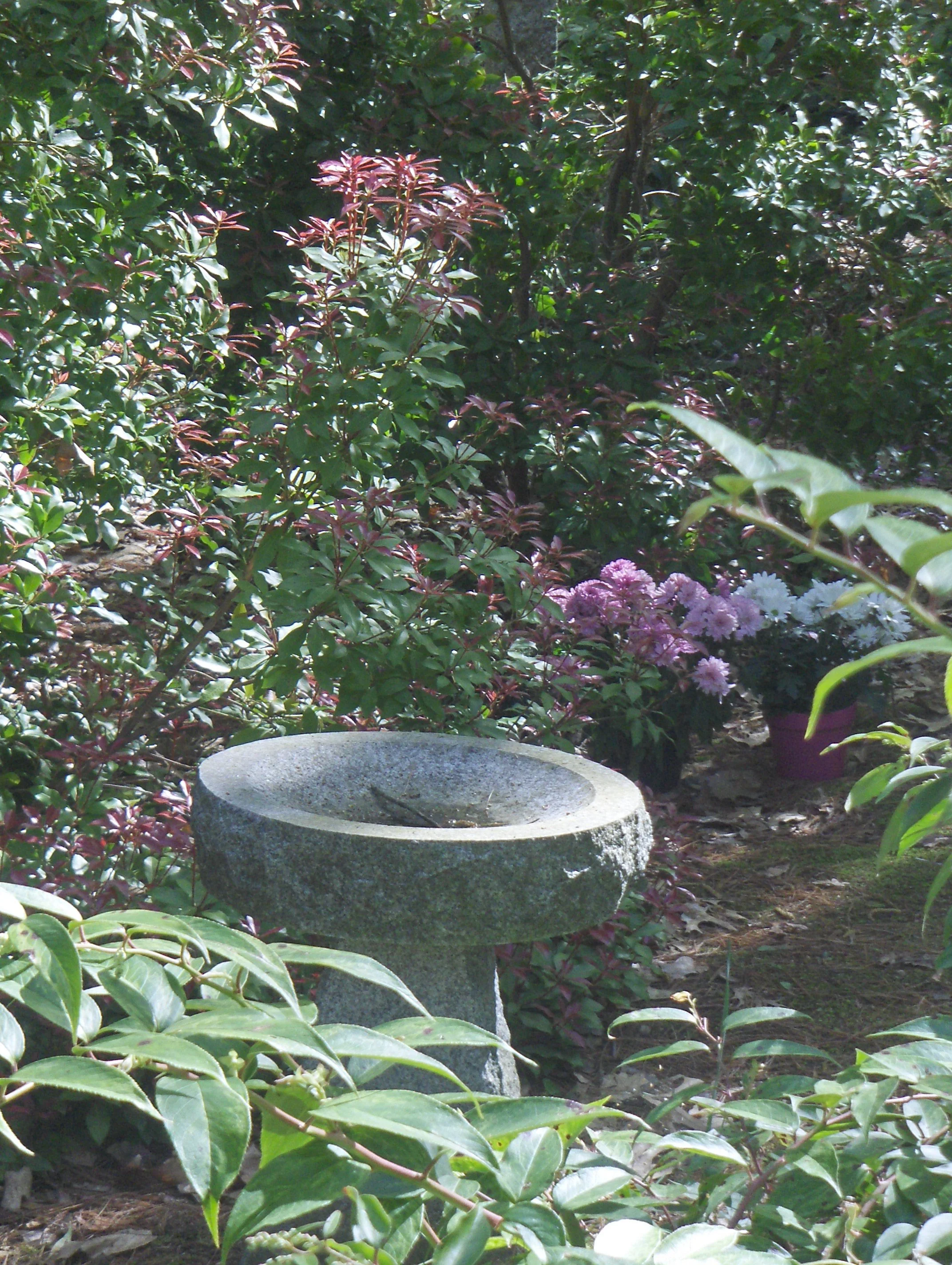 Memorial Garden stewardship