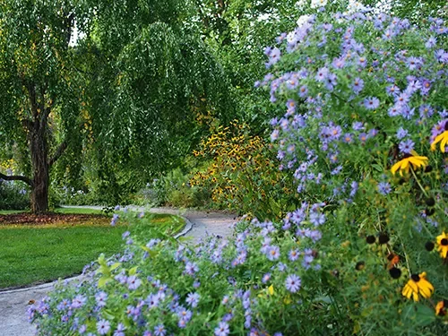 Spiritual nature walks beginning July 5