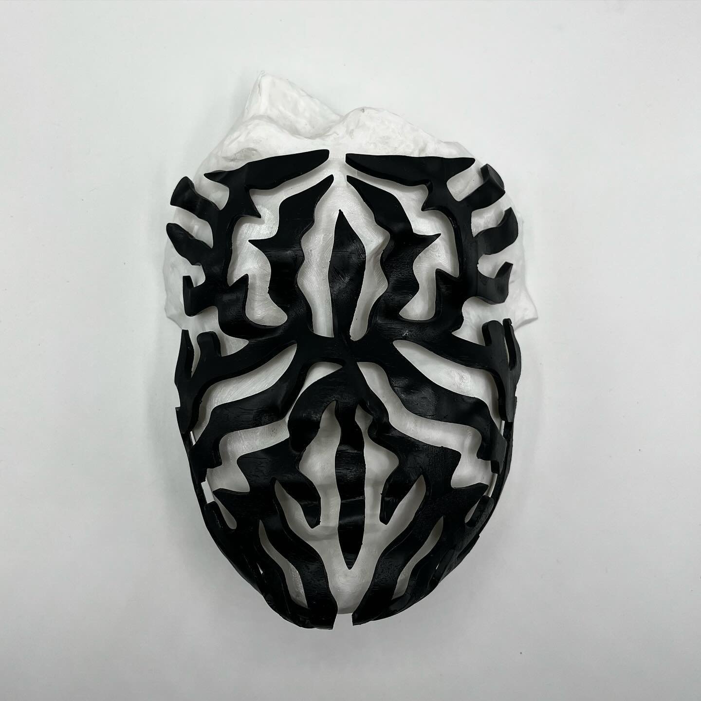Growth Algorithm for @mata_eu Biocaras

Biocaras emerges from the intersection between technology, nature, and art. By scanning six artists, facial masks have been generated based on their faces. Inspired by natural patterns such as the growth of sli