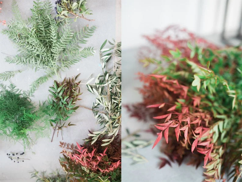 Botanica Muse | Megan Lynn Photography | Nicole George Events Blog