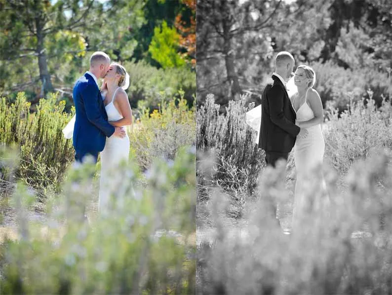Nicole George Events | Half Full Photography