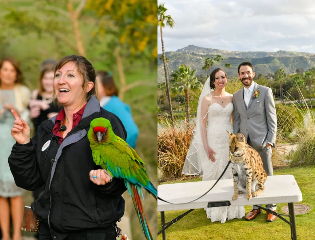 San Diego Zoo Safari Park Wedding