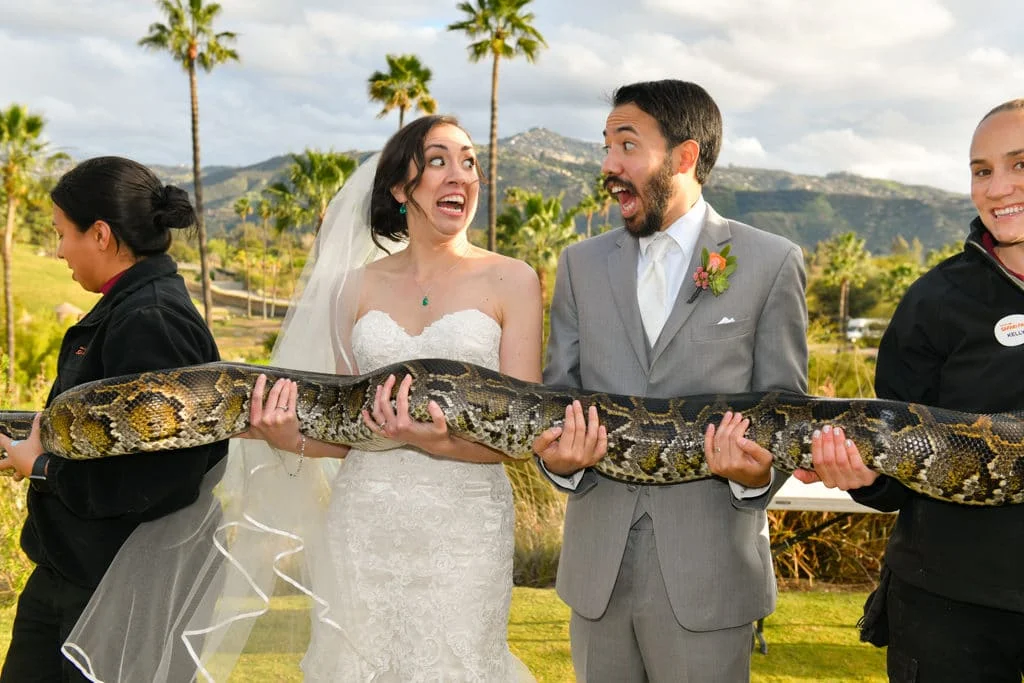 San Diego Zoo Safari Park Wedding