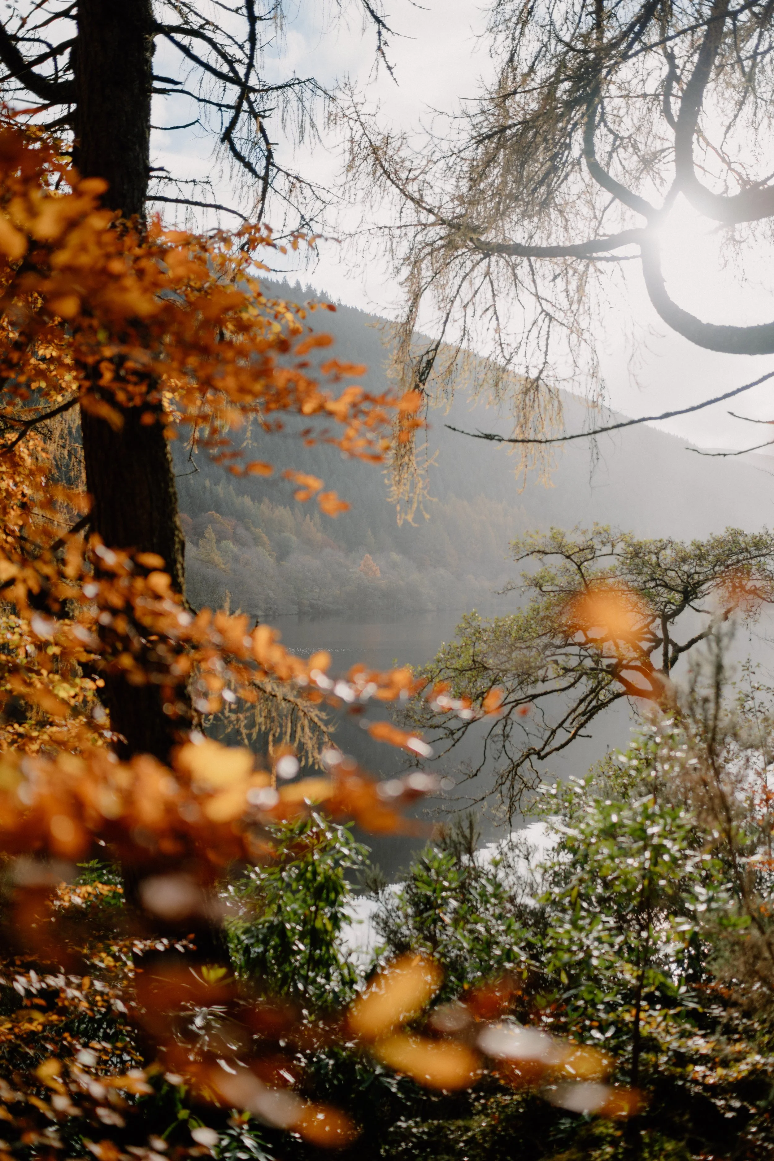 Drive to Eilean Donan 13.JPG