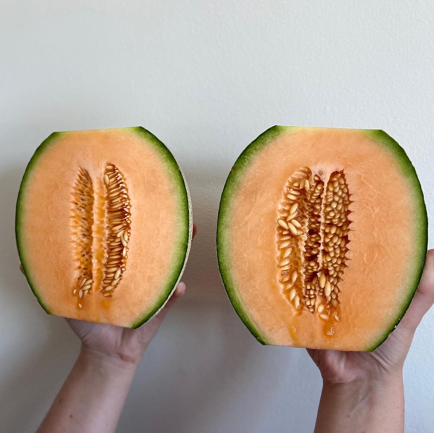 52E23995-A9E0-4221-A7E2-5B119C0A8E35.jpeg