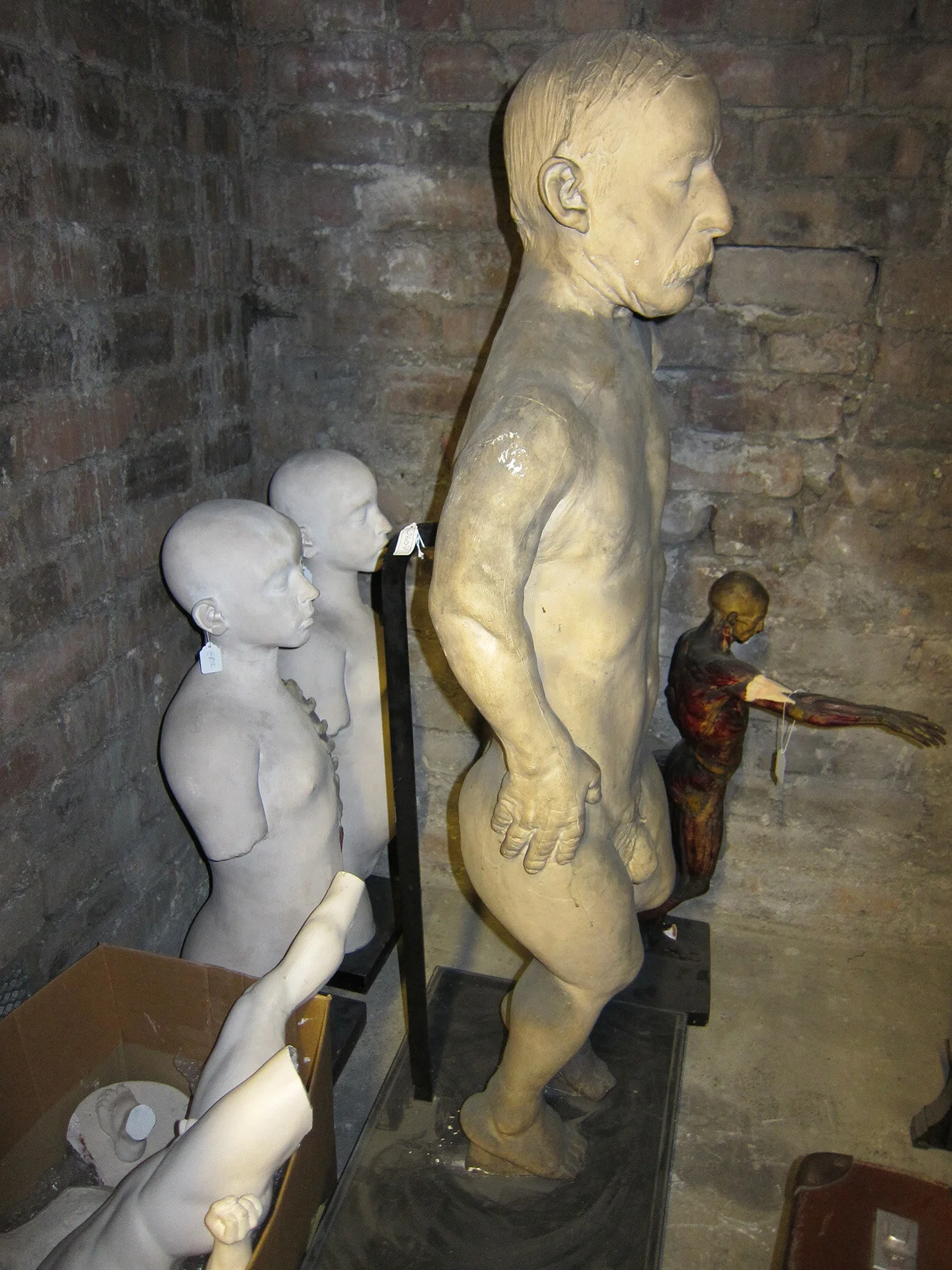 4.Basement Anatomy StoresJPG.jpg