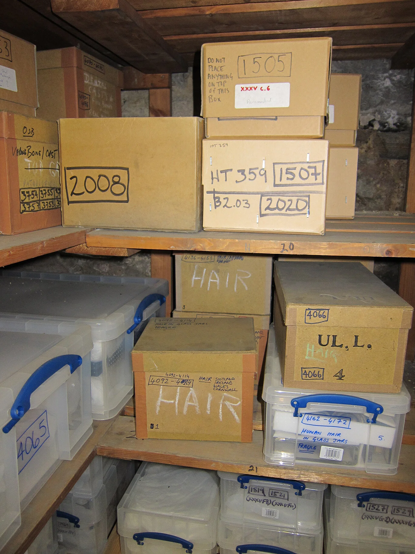5Basement Anatomy Stores.jpg