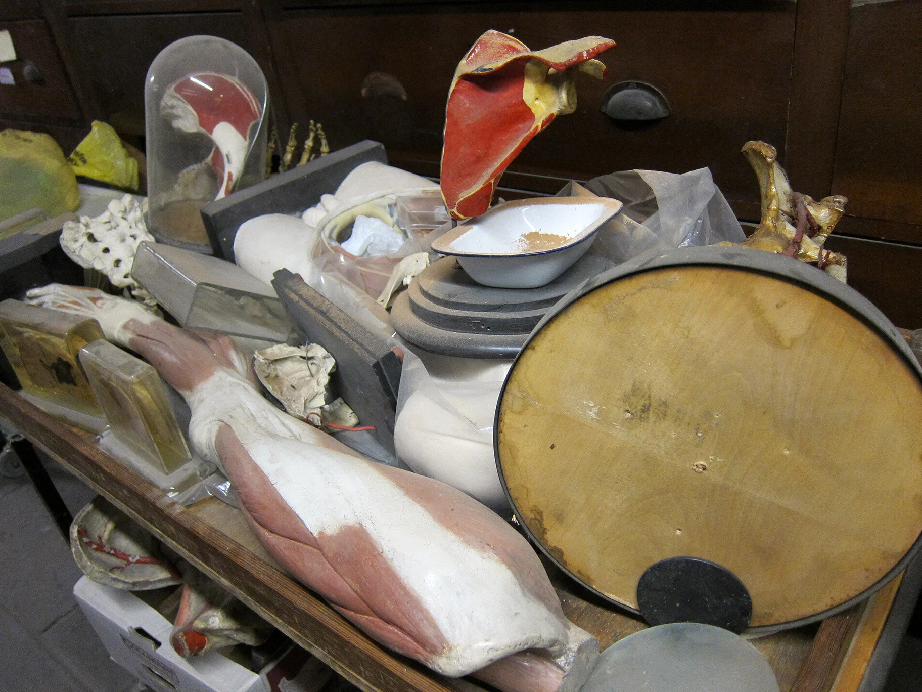 8.Basement Anatomy Stores.jpg