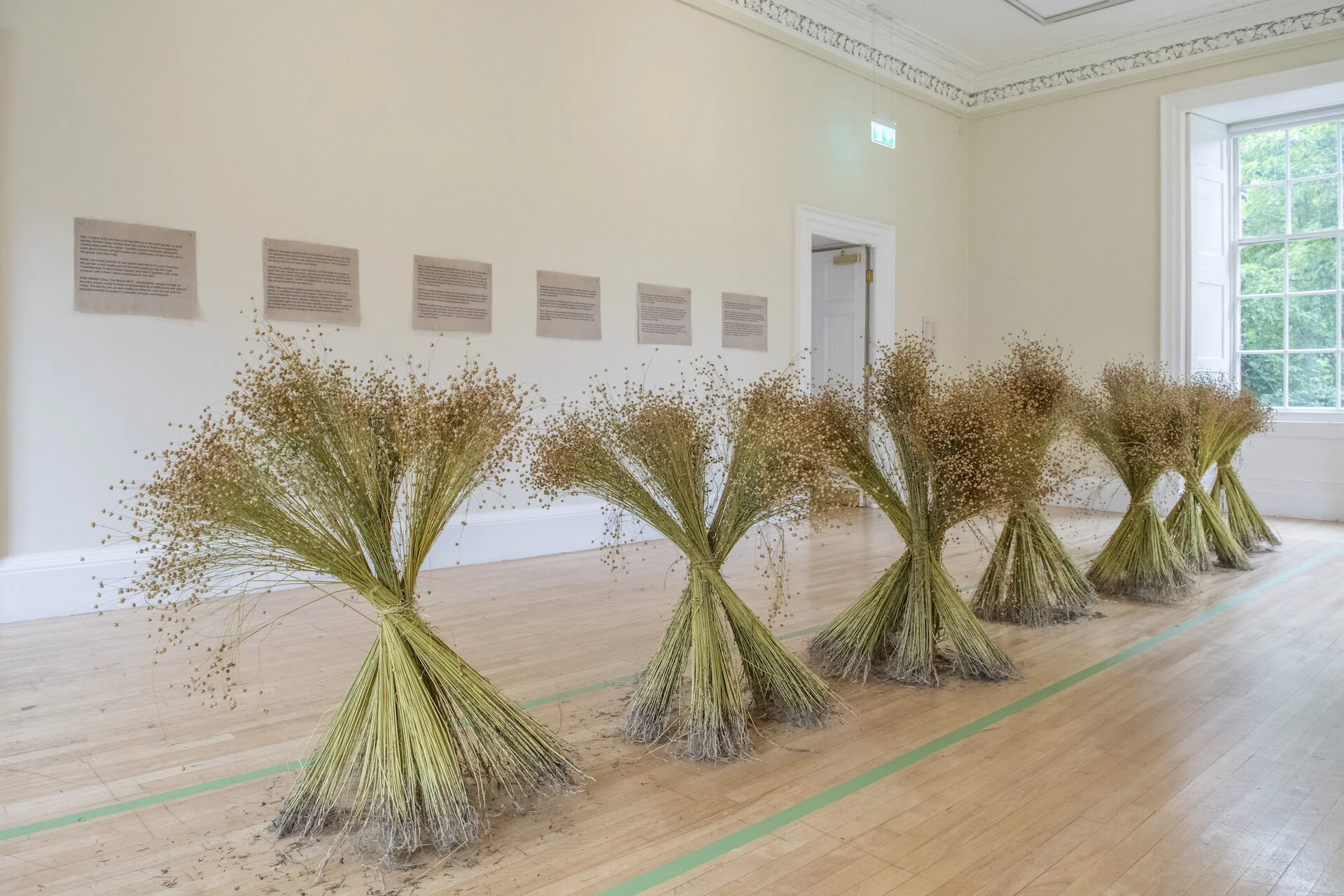 Christine Borland Exhibition_Inverleith House_RBGE_003.jpg