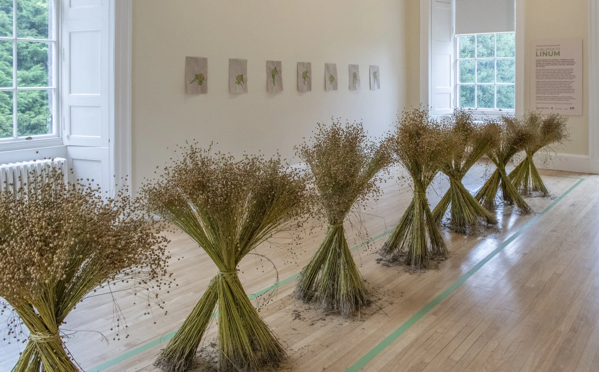 Christine Borland Exhibition_Inverleith House_RBGE_010.jpg