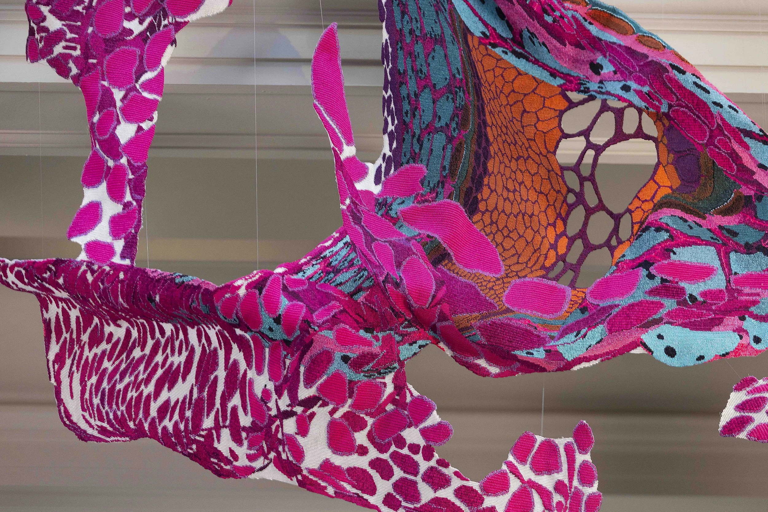 Edinburgh Seven-5 copy.jpeg