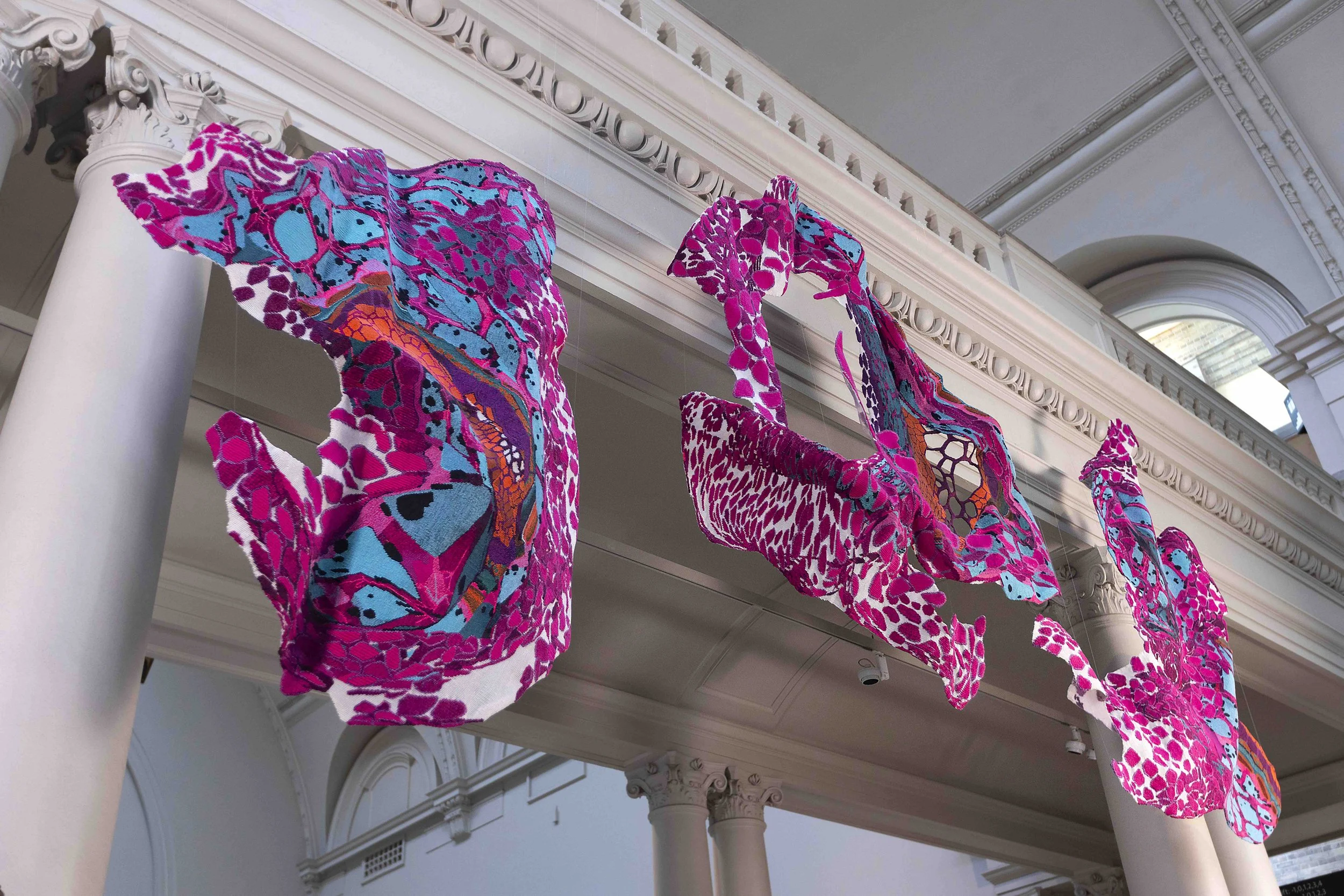 Edinburgh Seven-10.jpeg