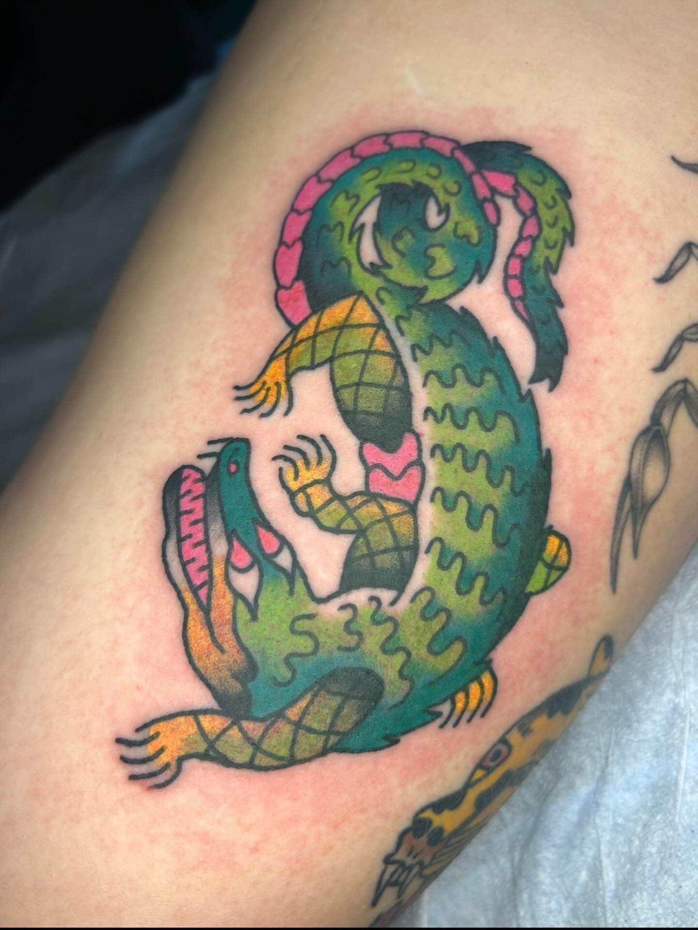 A lil cutie gator by: @kikikonotattoo 
.
#madison #madisonwi #wisconsintattooartist #waywardtattoos #alligators