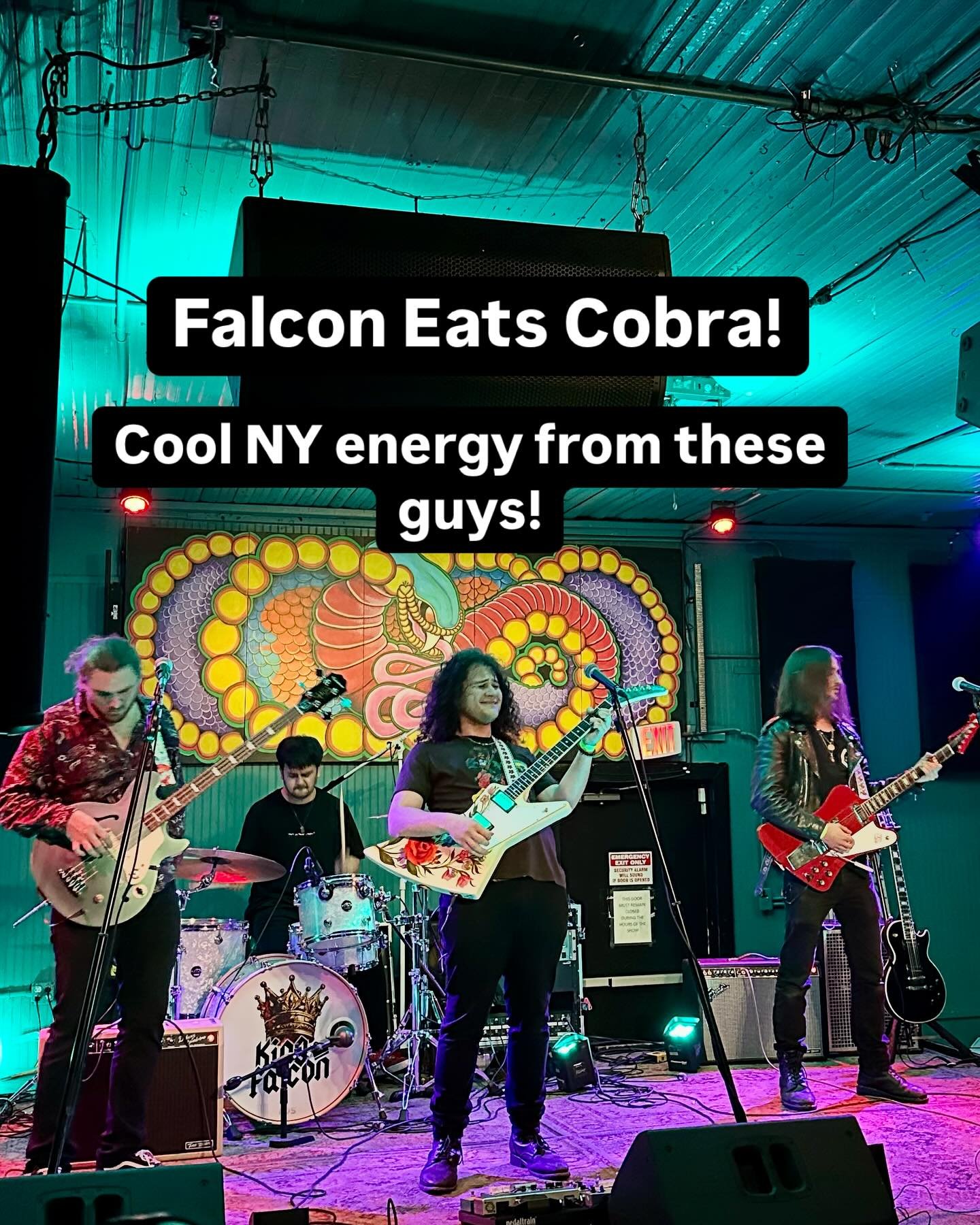 Enjoying King Falcon at the fire benefit show tonight at the Cobra. Dig the rose explorer!