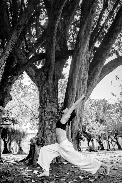 Vinyasa Flow & Open Heart
