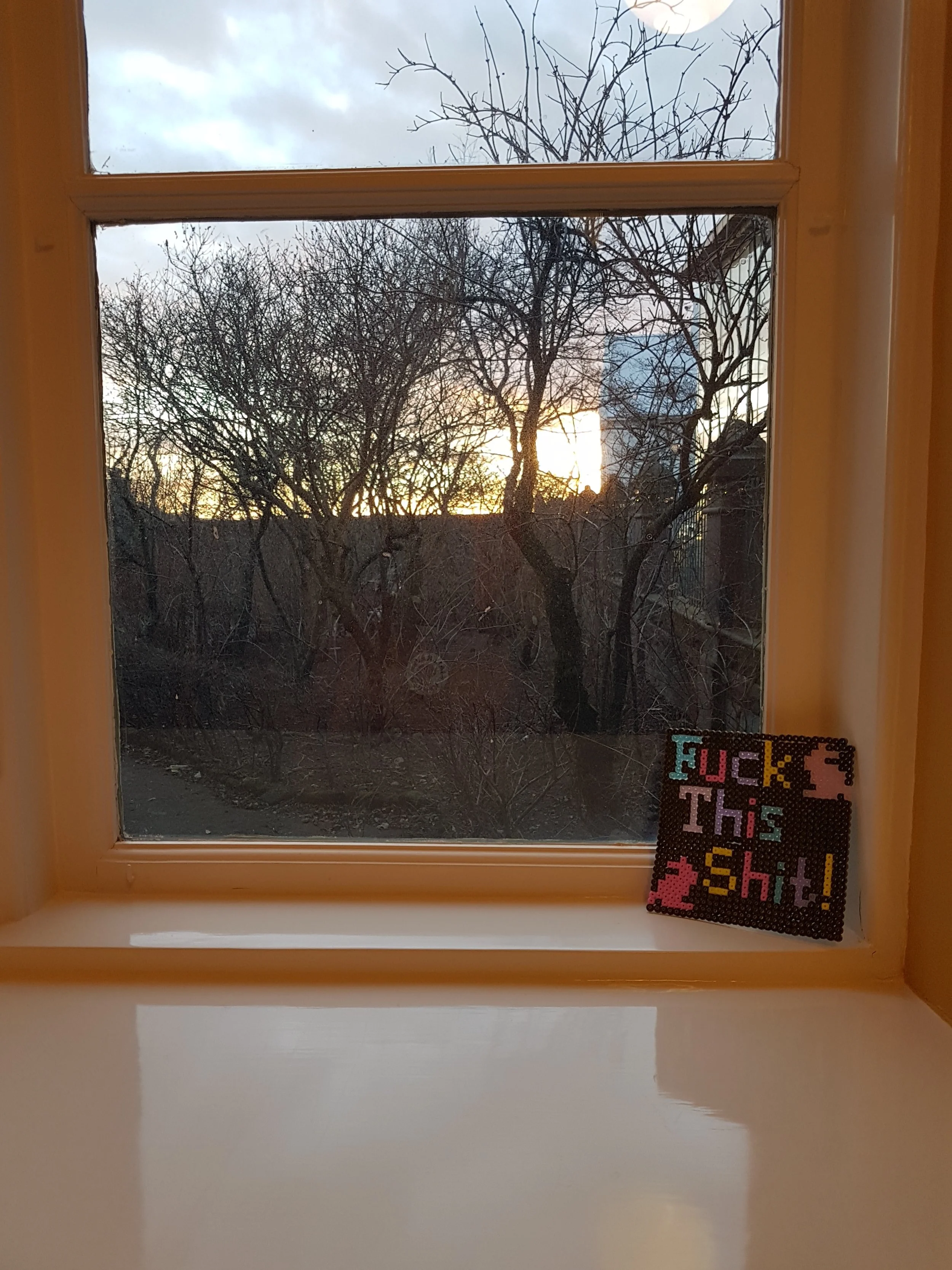 20181201_152024.jpg
