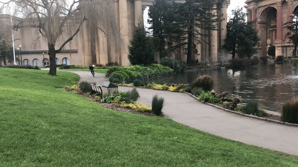 ezgif-3-a906a132a541.gif