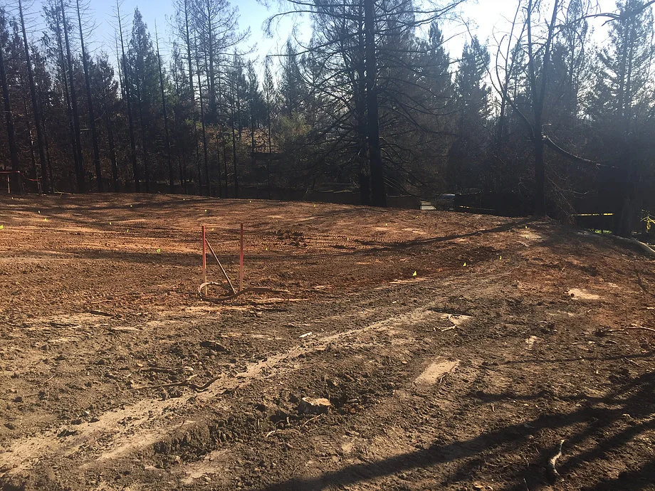 When Life Becomes A Blank Canvas