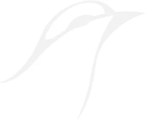MimusLogoBackground02.jpg