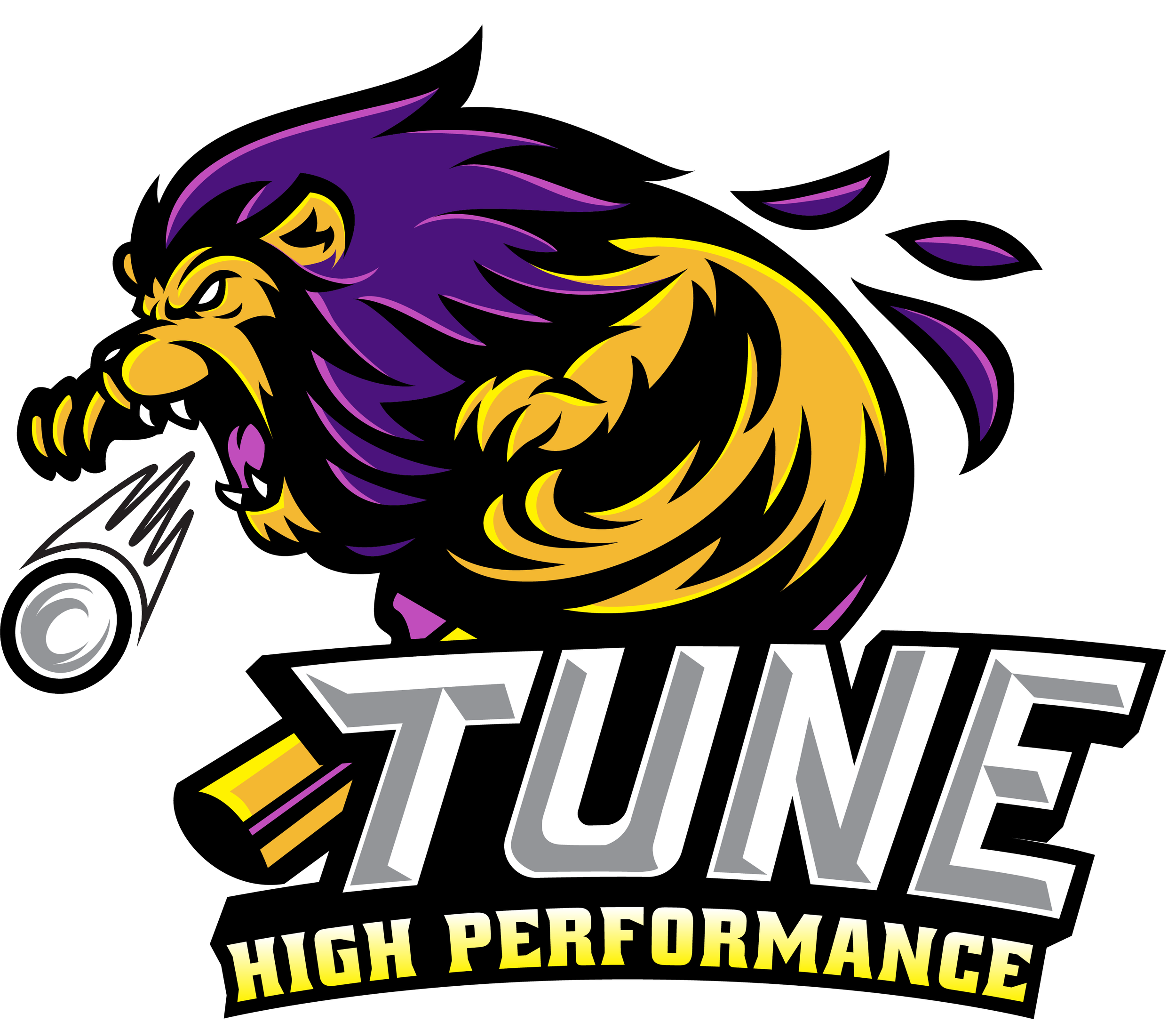 2024 Tune Top 8 Squad Logo.png