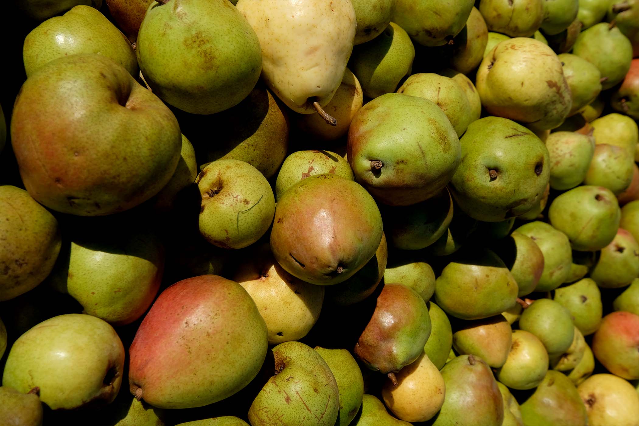 Heritage Pears