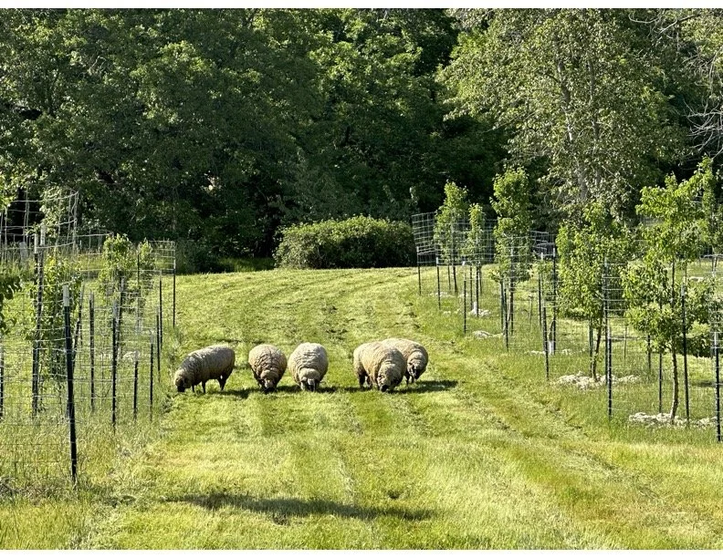 Rogue Valley Farm Tour
