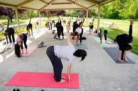 Yoga on the Patio
