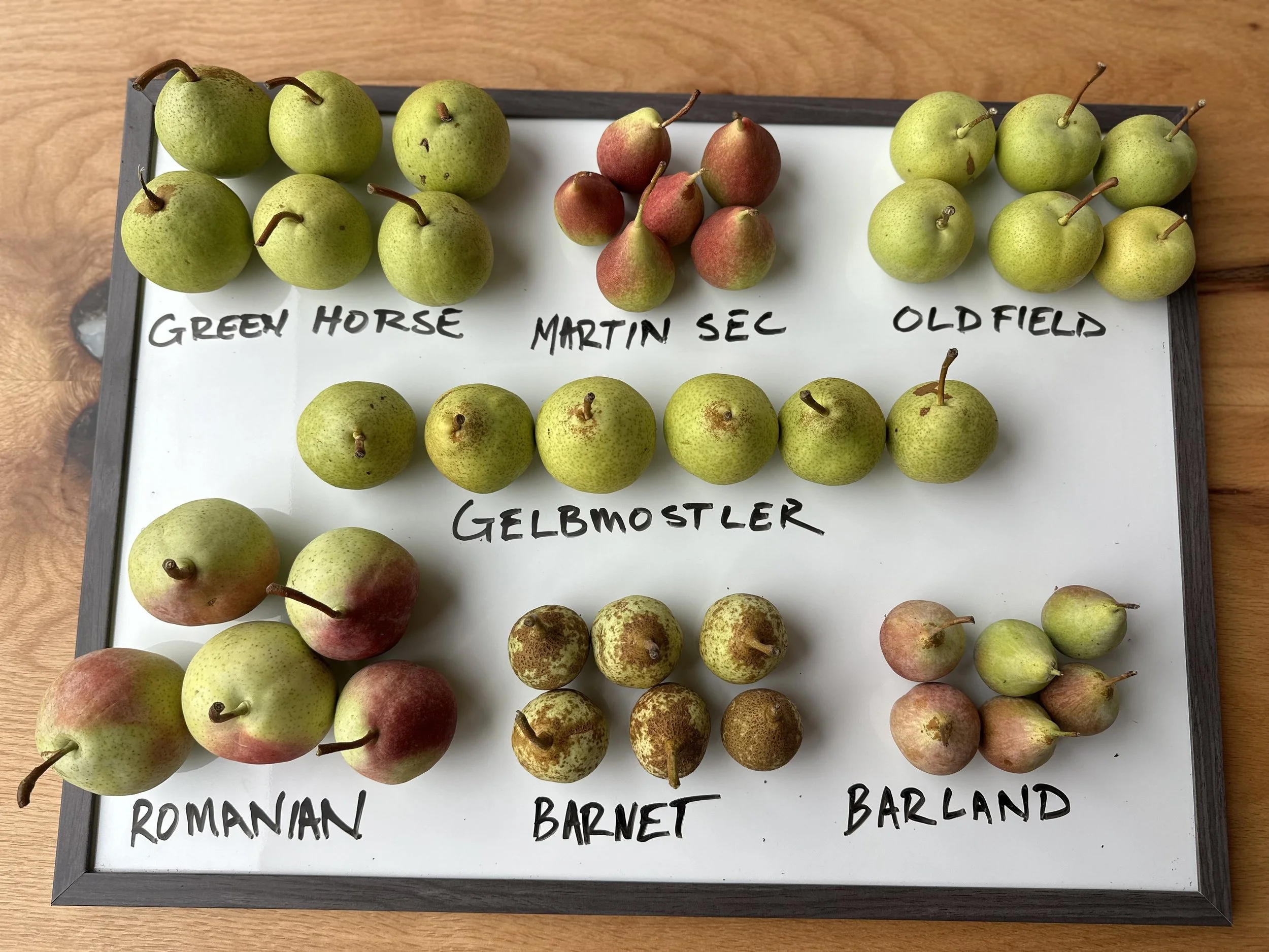 Pear harvest celebration