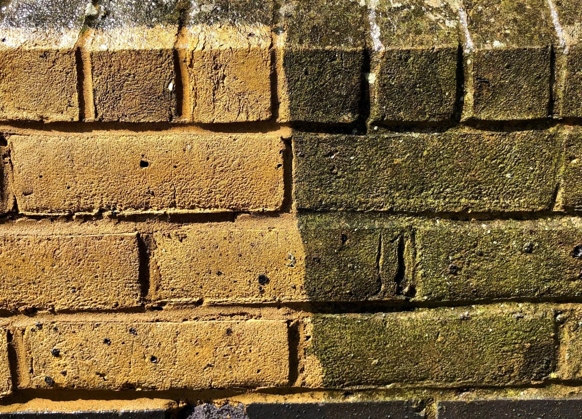 Before and after brick cleaning showing removal of algae and dark staining from yellow brickwork