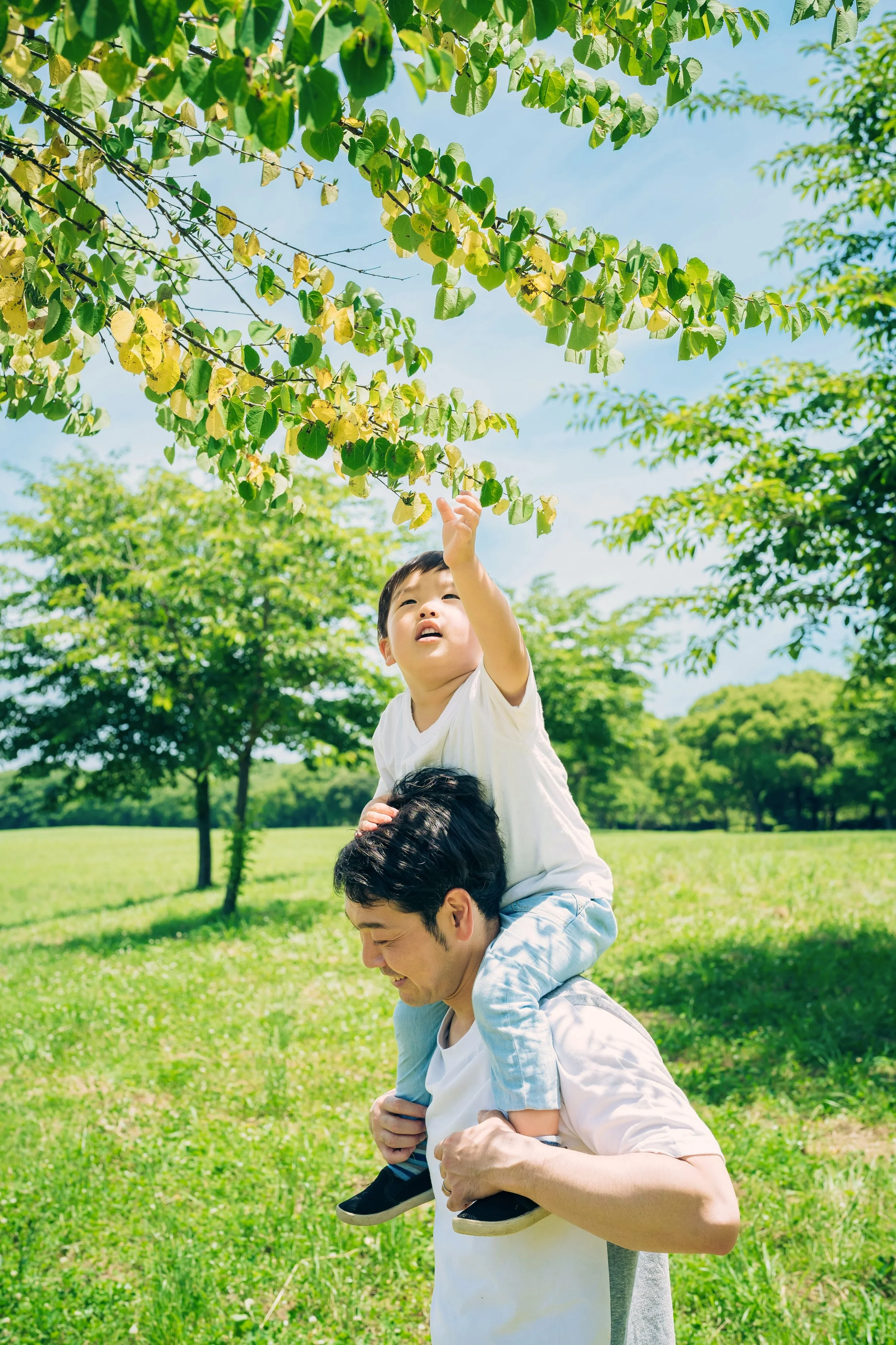 A man giving a child a piggyback ride outdoors in a park on a sunny day, the child reaching up towards the leaves of a tree with a bright blue sky in the background.