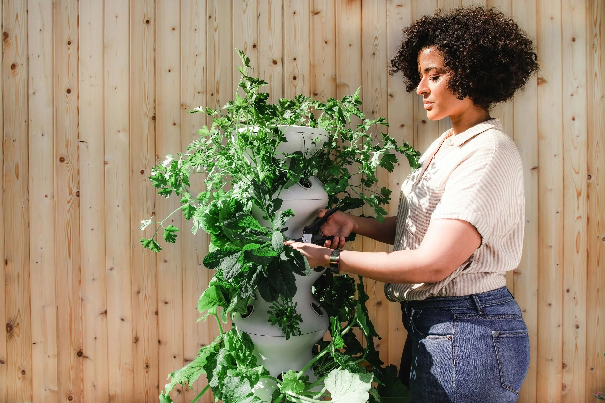 A woman with curly hair cutting a plant in a white pot outdoors, standing in front of a wooden fence.