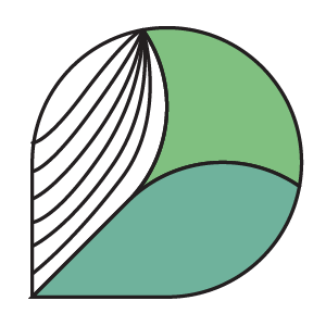 Close-up of a stylized leaf illustration with black, green, and teal sections.