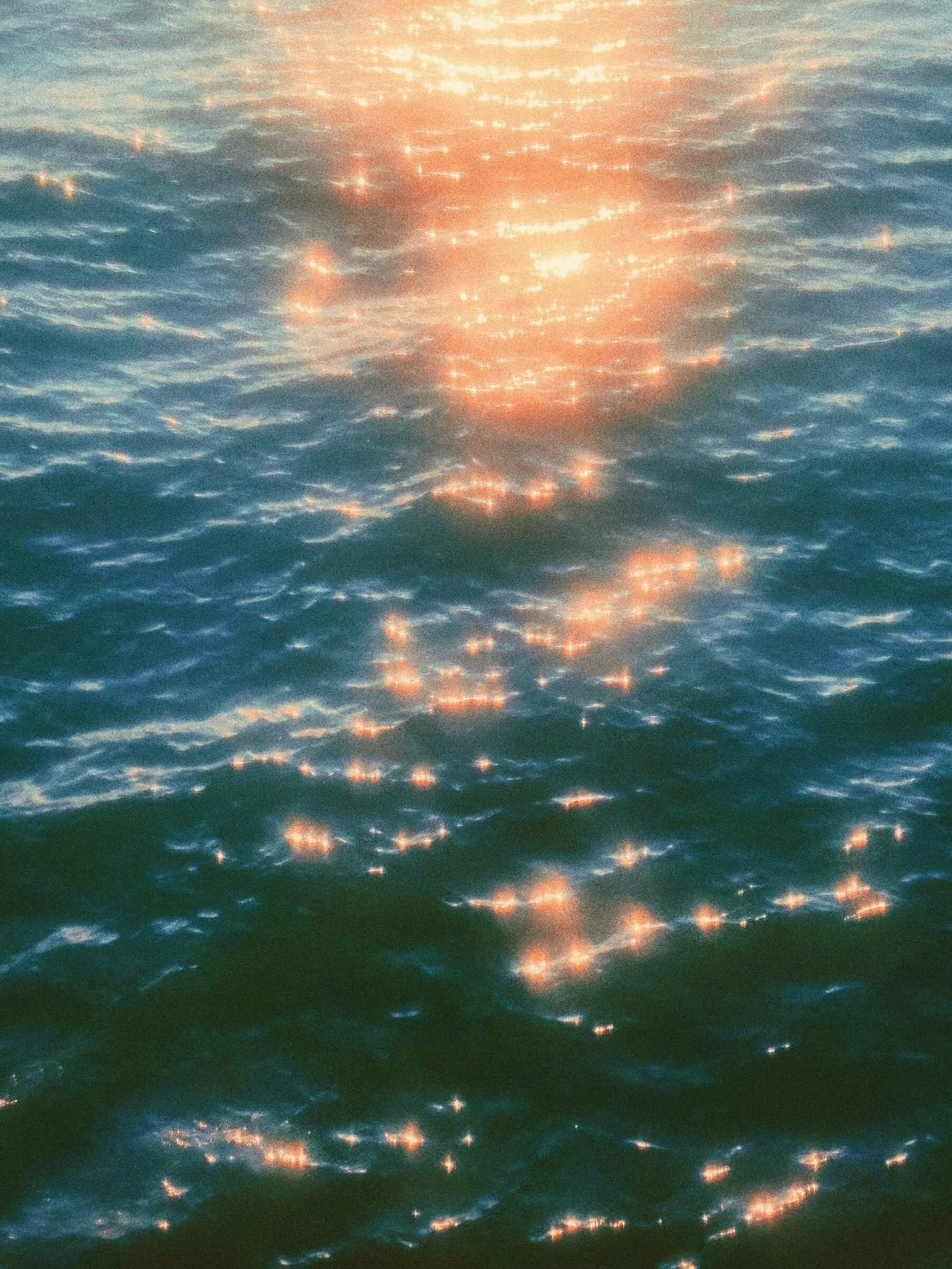 Sunlit on a rippling water surface