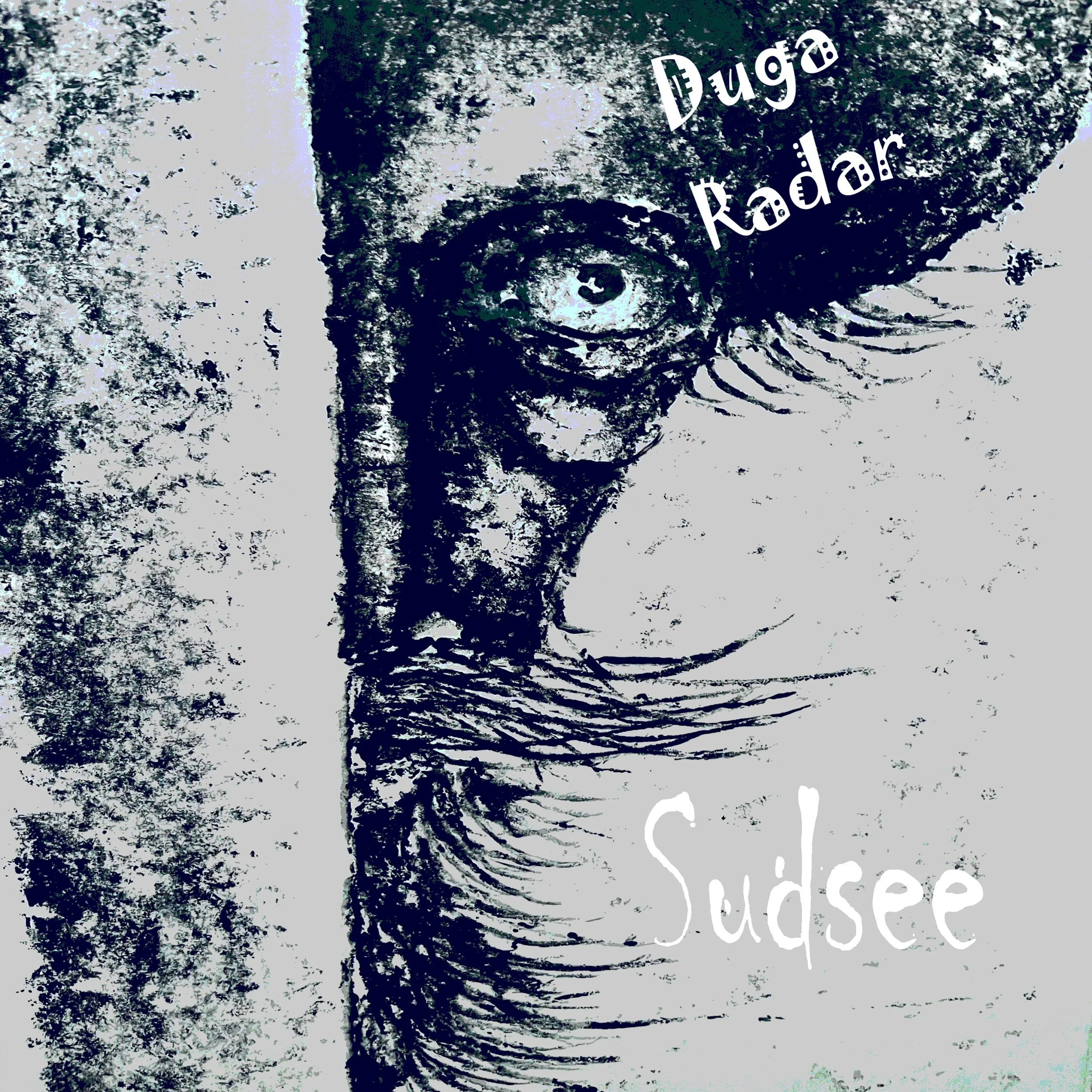 Duga Radar Record Cover - Sudsy1.jpg