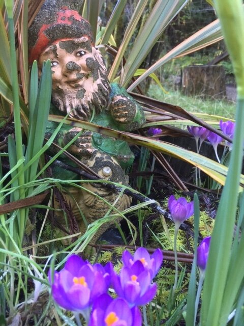 Starting Again in the Spring