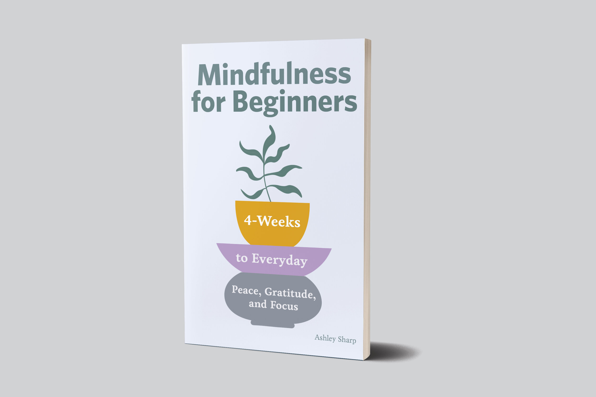 Mindfulness for Beginners