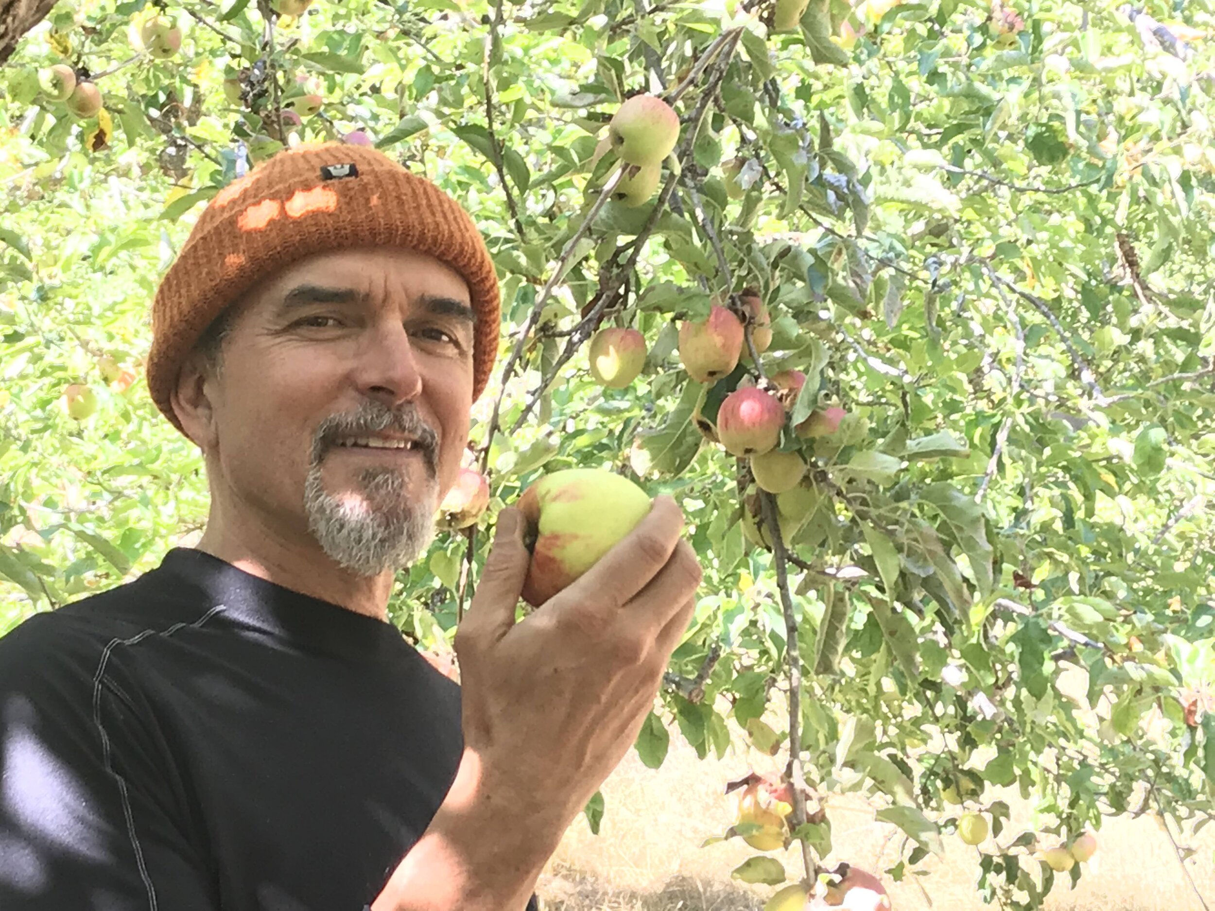 Bears, Foxes, Deer and Gratitude