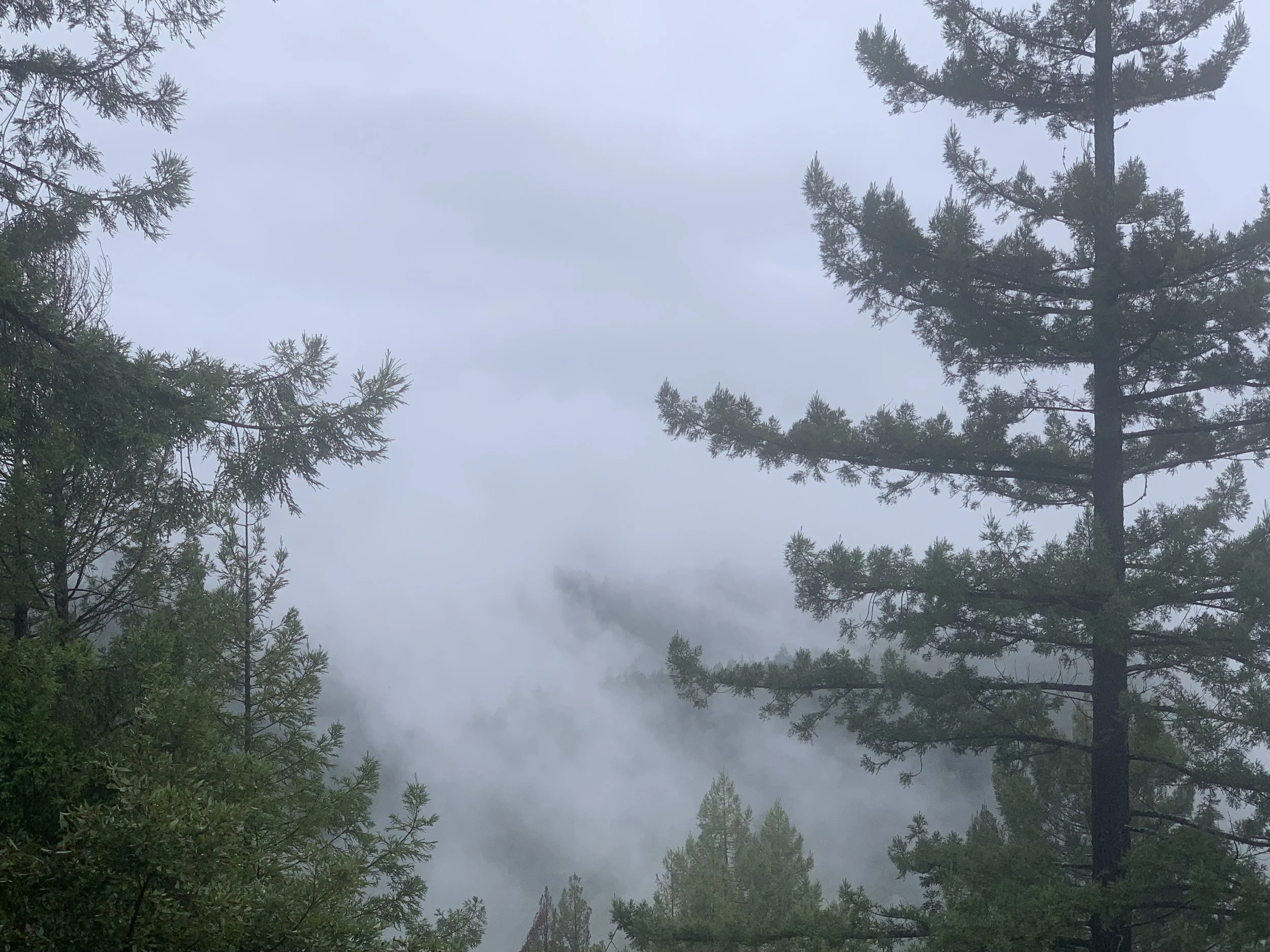 How Do You Catch a Cloud and Pin It Down?