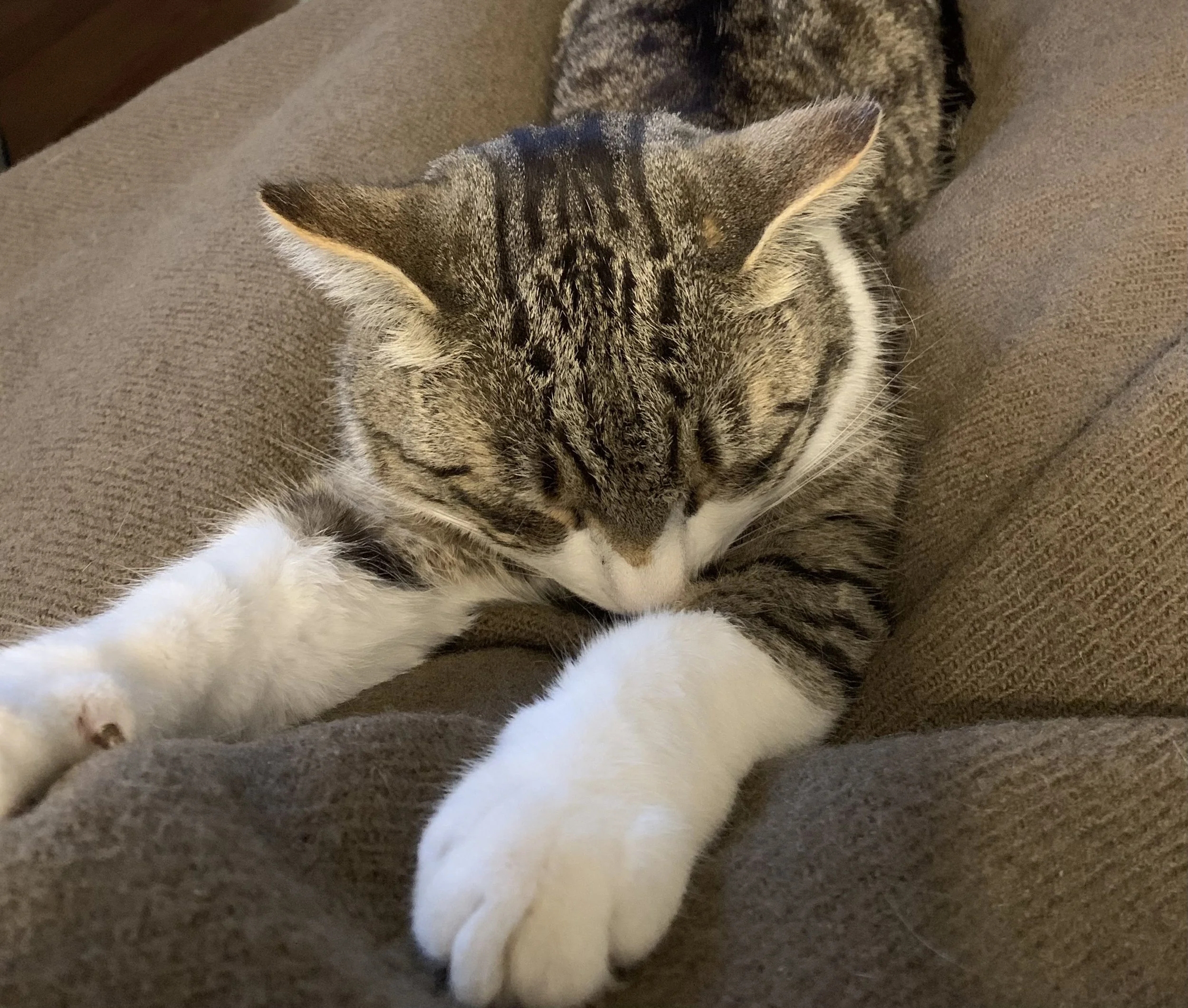 Rest as a Sacred Act