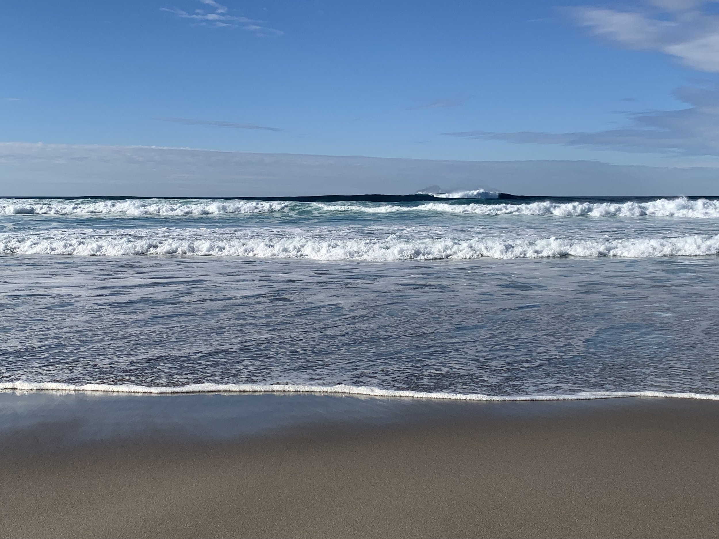 Showing Up for All of It