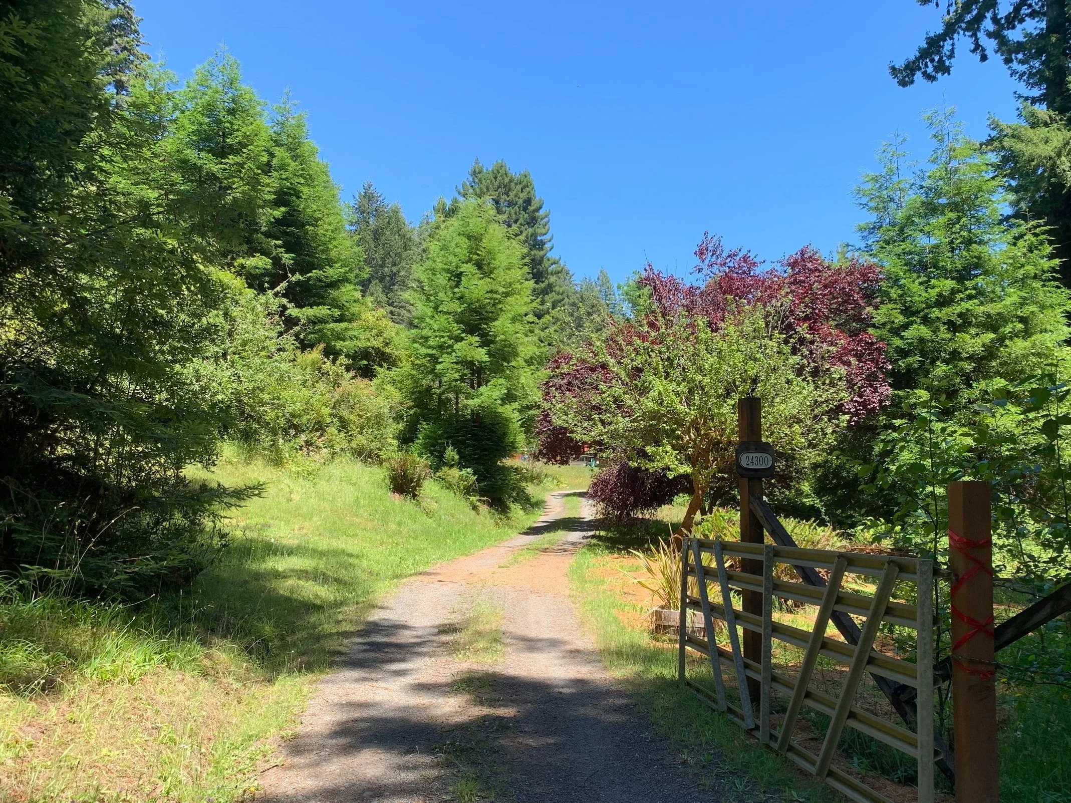 Mendocino Mindfulness Yoga Retreat