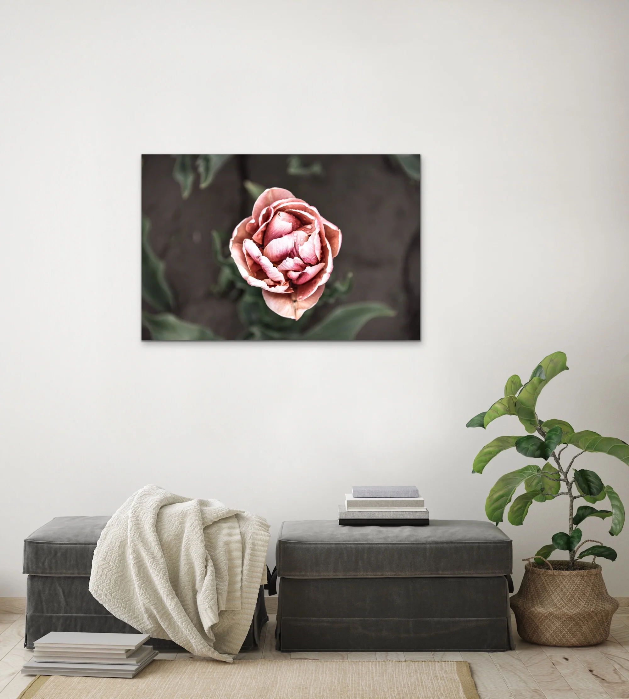 tulip time canvas mock 2.jpeg