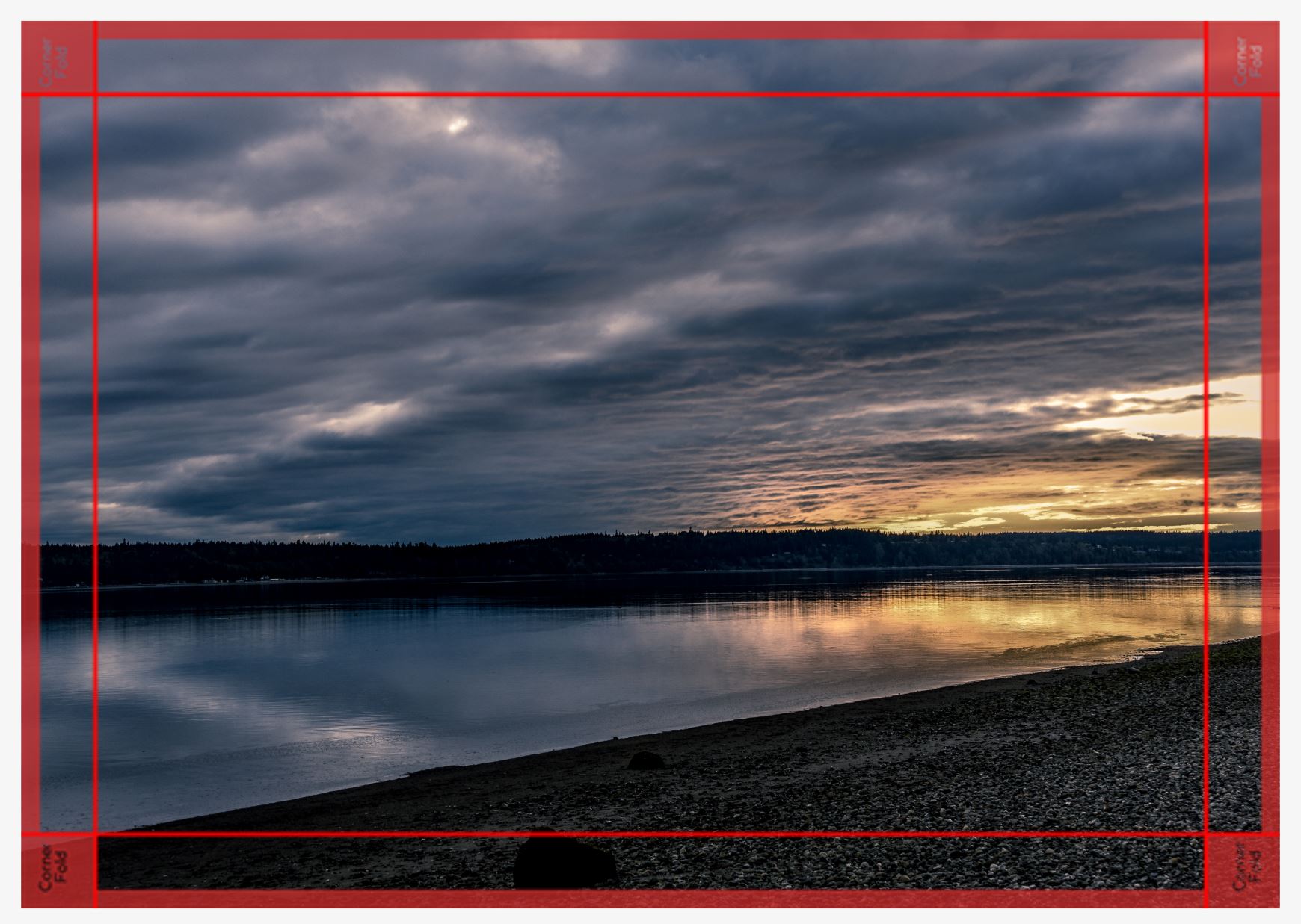 evening delight canvas.JPG