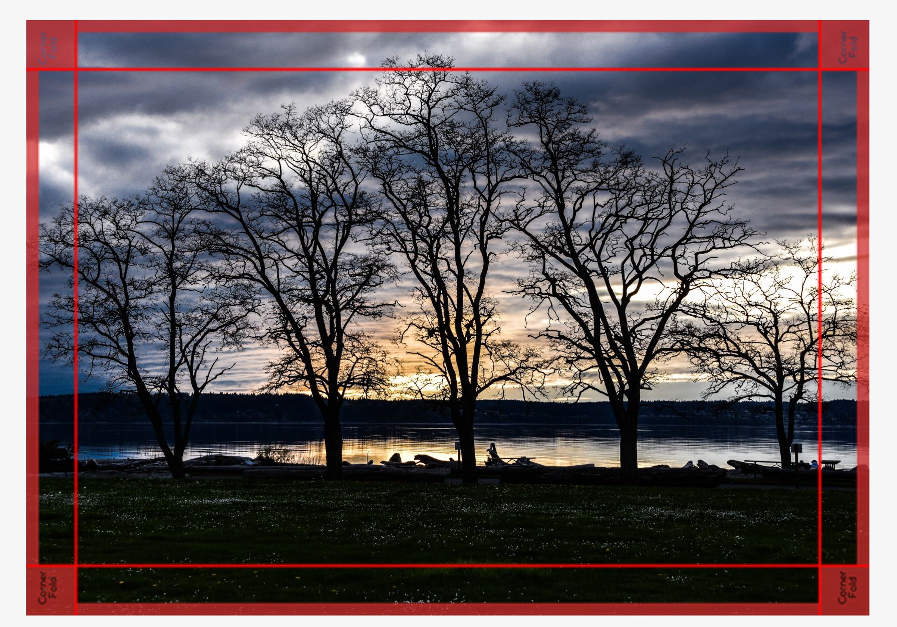 evening serenade canvas.JPG