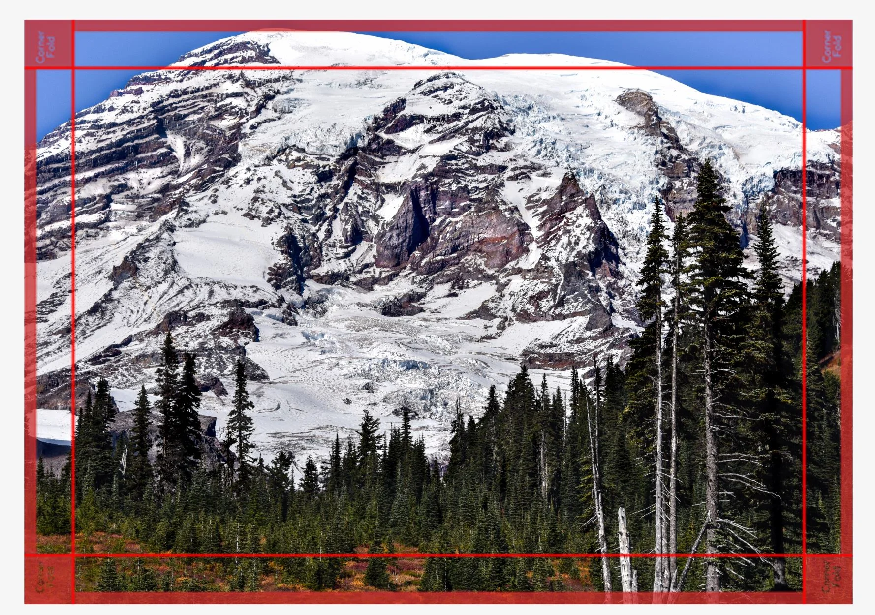 rainier canvas.JPG