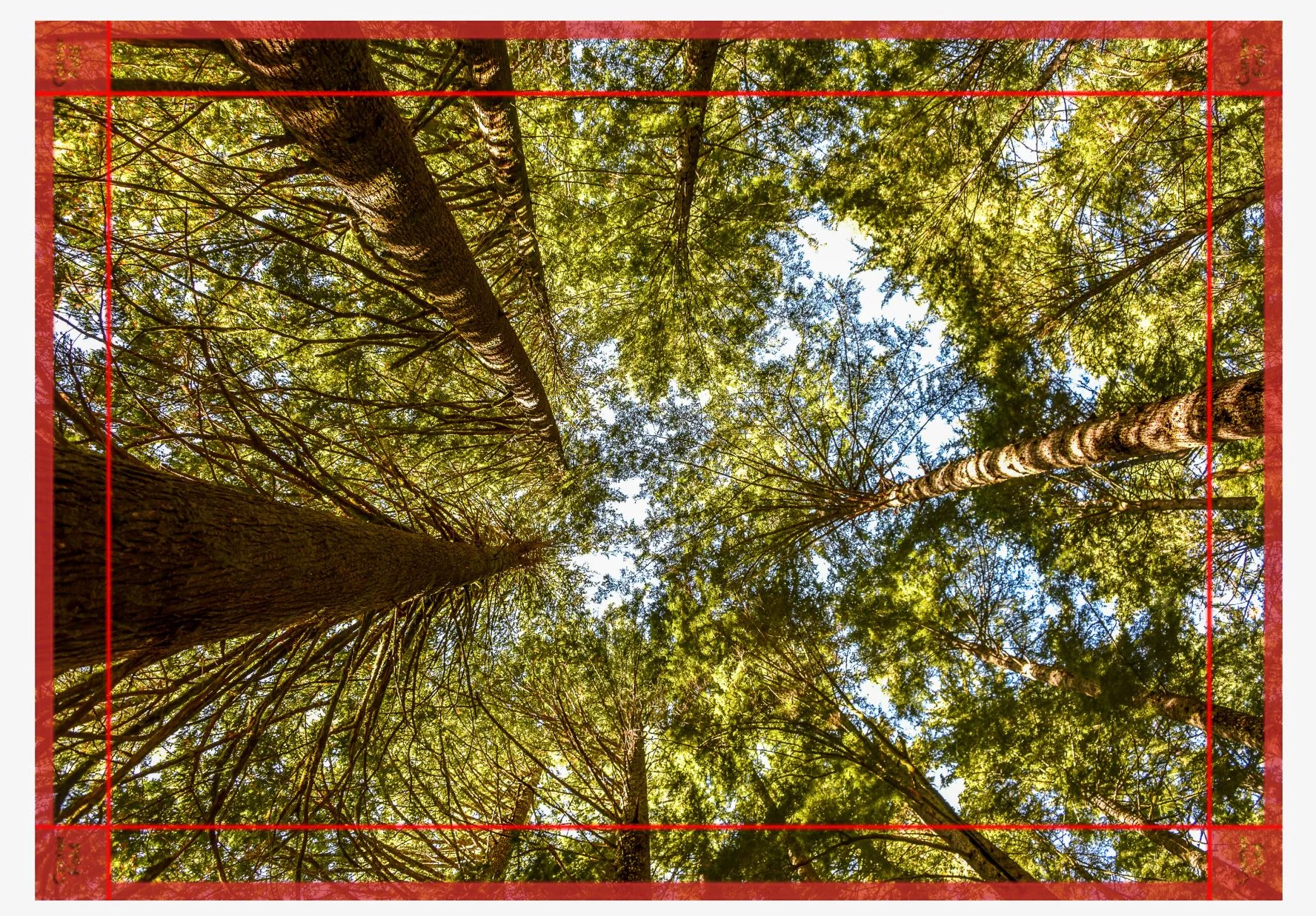 nourishment canvas.JPG