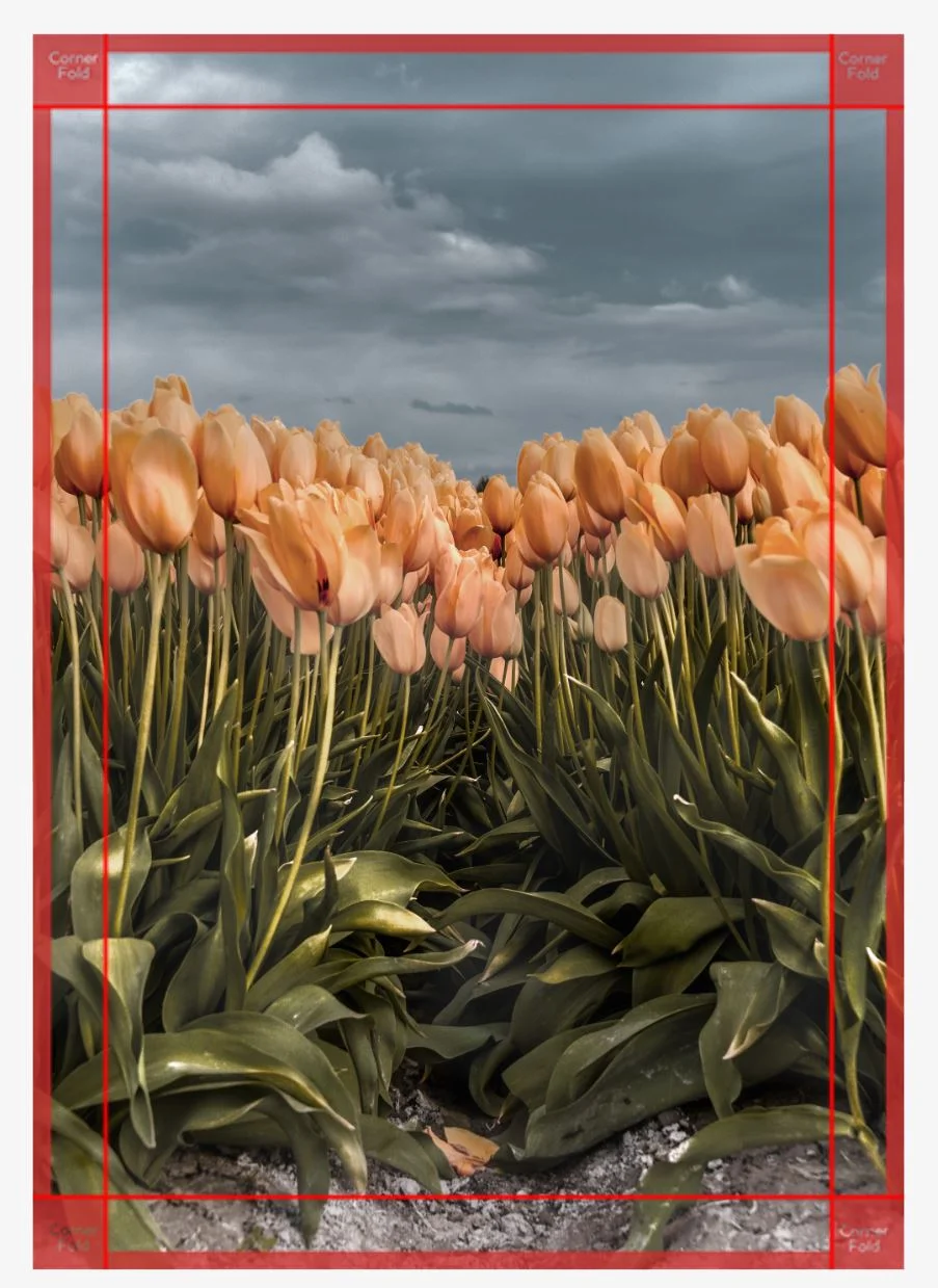 Spring Fever canvas.JPG