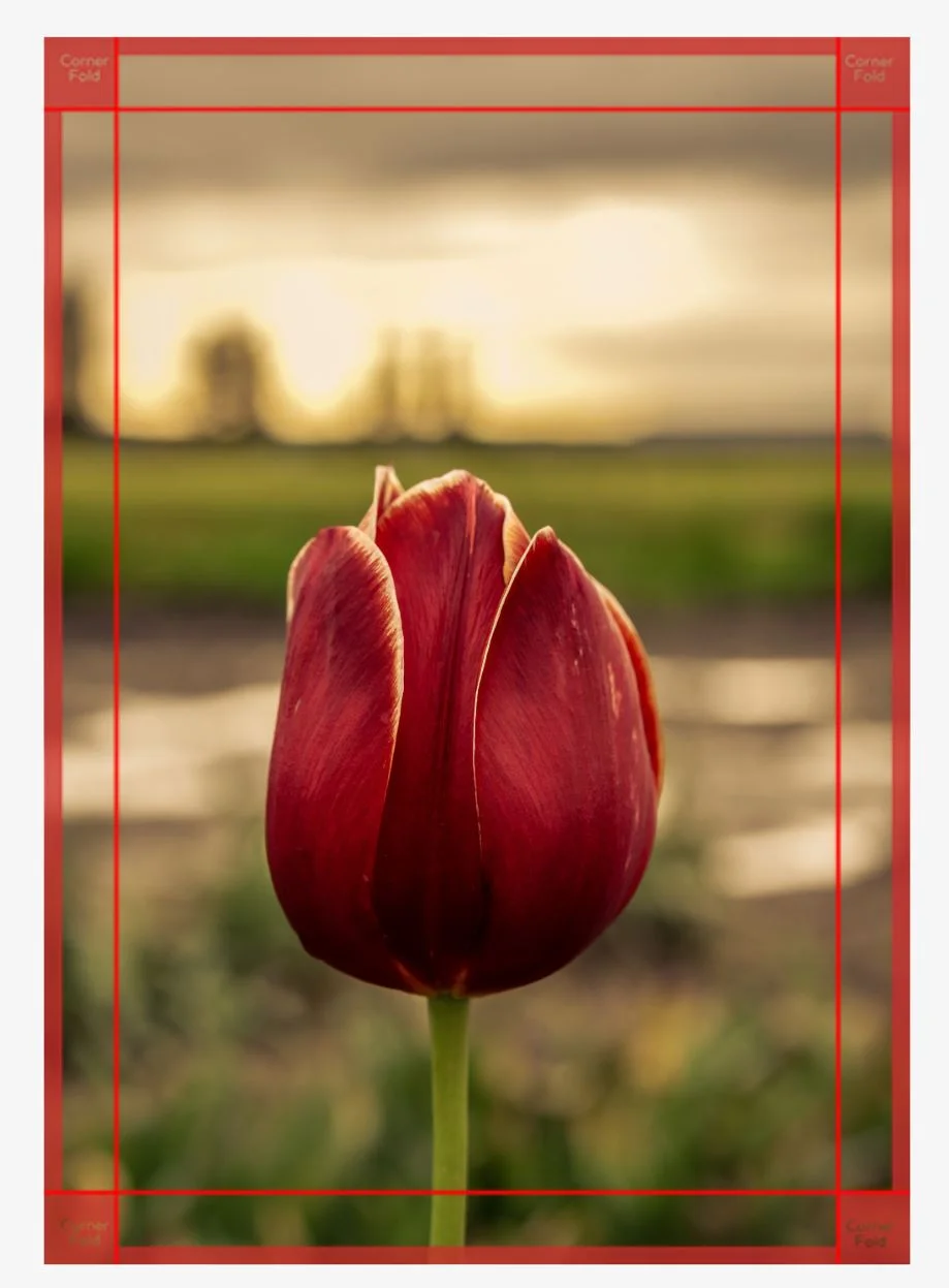 lady in red canvas.JPG