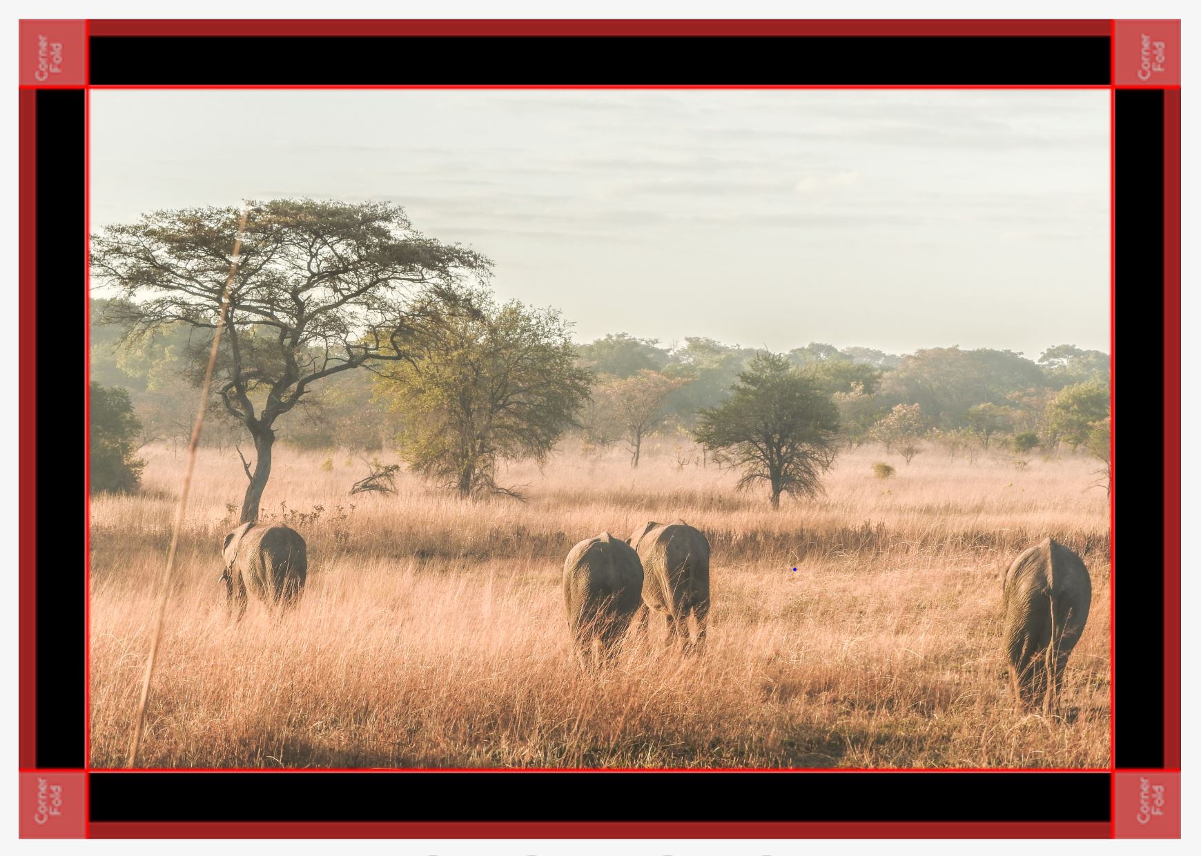 Come away with me black canvas.JPG